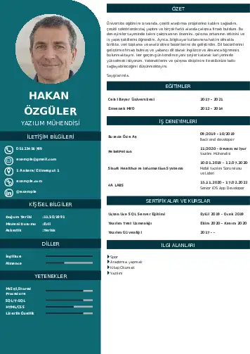 Yazılım Mühendisi Cv Örnekleri cv indir